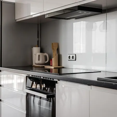 Tauron Arena Wawelofts Apartment *